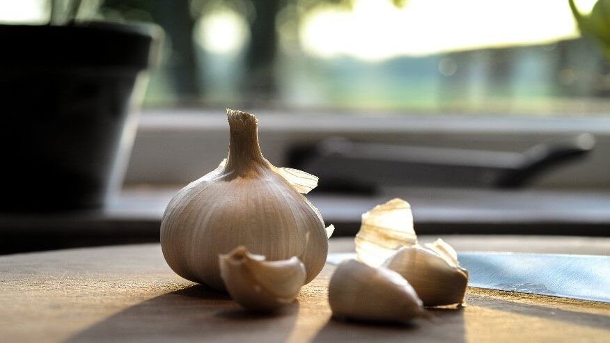 Different Varieties of Garlic!