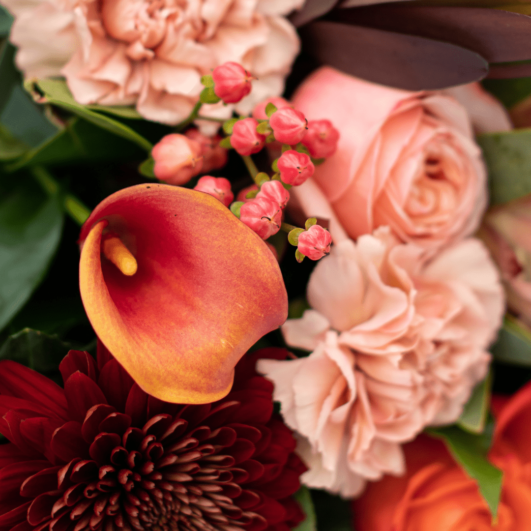 Help Us Choose Our Next Bouquet of the Month!