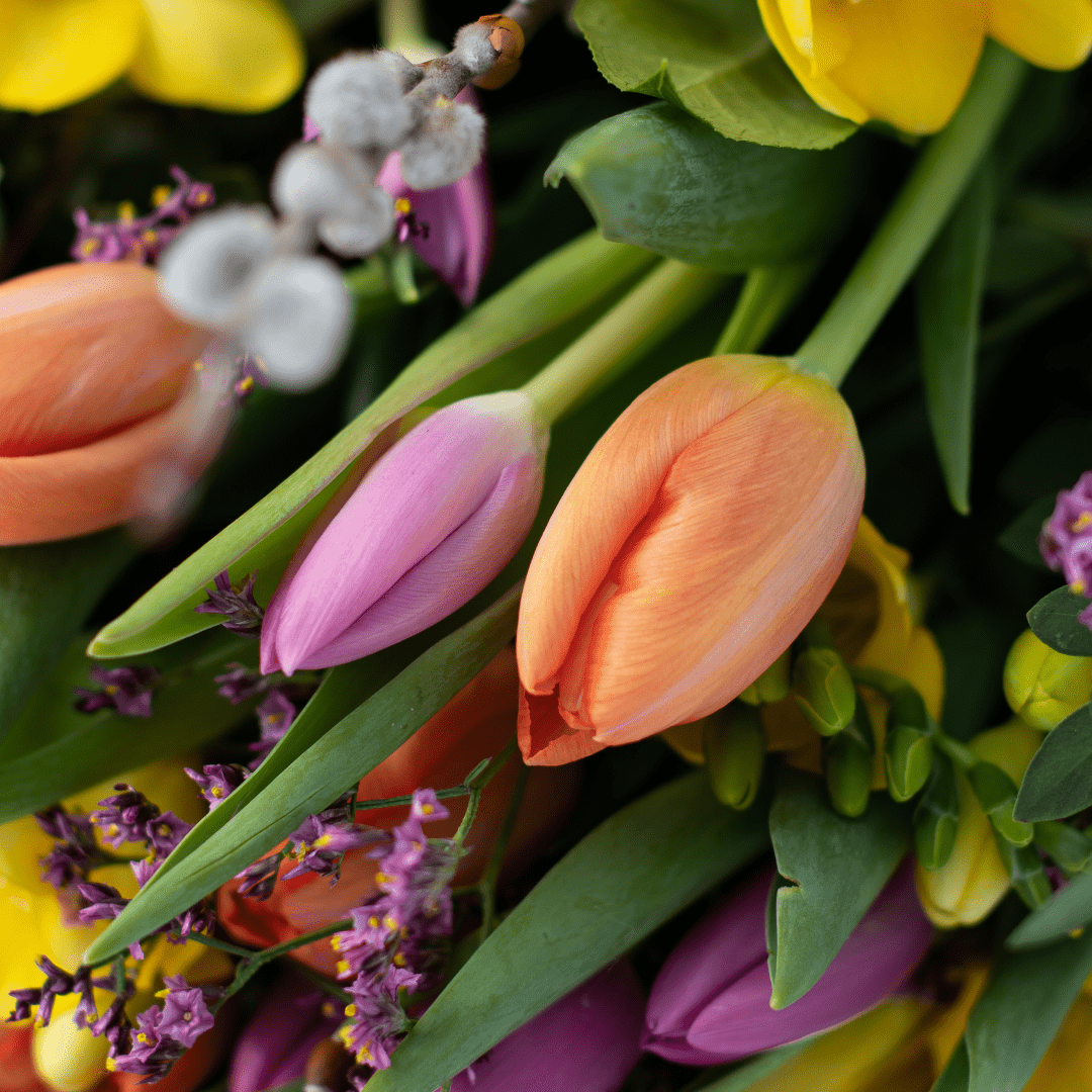 FacebookInstagram Posts - Part 8 (10) A vibrant bouquet of orange, yellow, and pink tulips with green leaves and delicate sprigs.