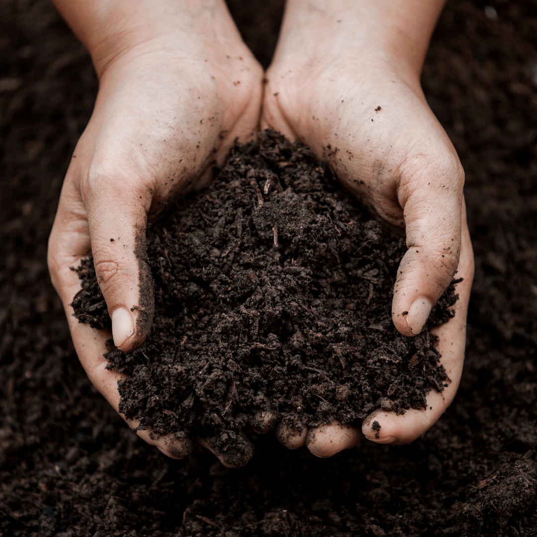 Suitable Soils For Herb & Vegetable Gardens!