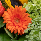 Vibrant orange gerbera daisy surrounded by lush green foliage in a colorful floral arrangement.