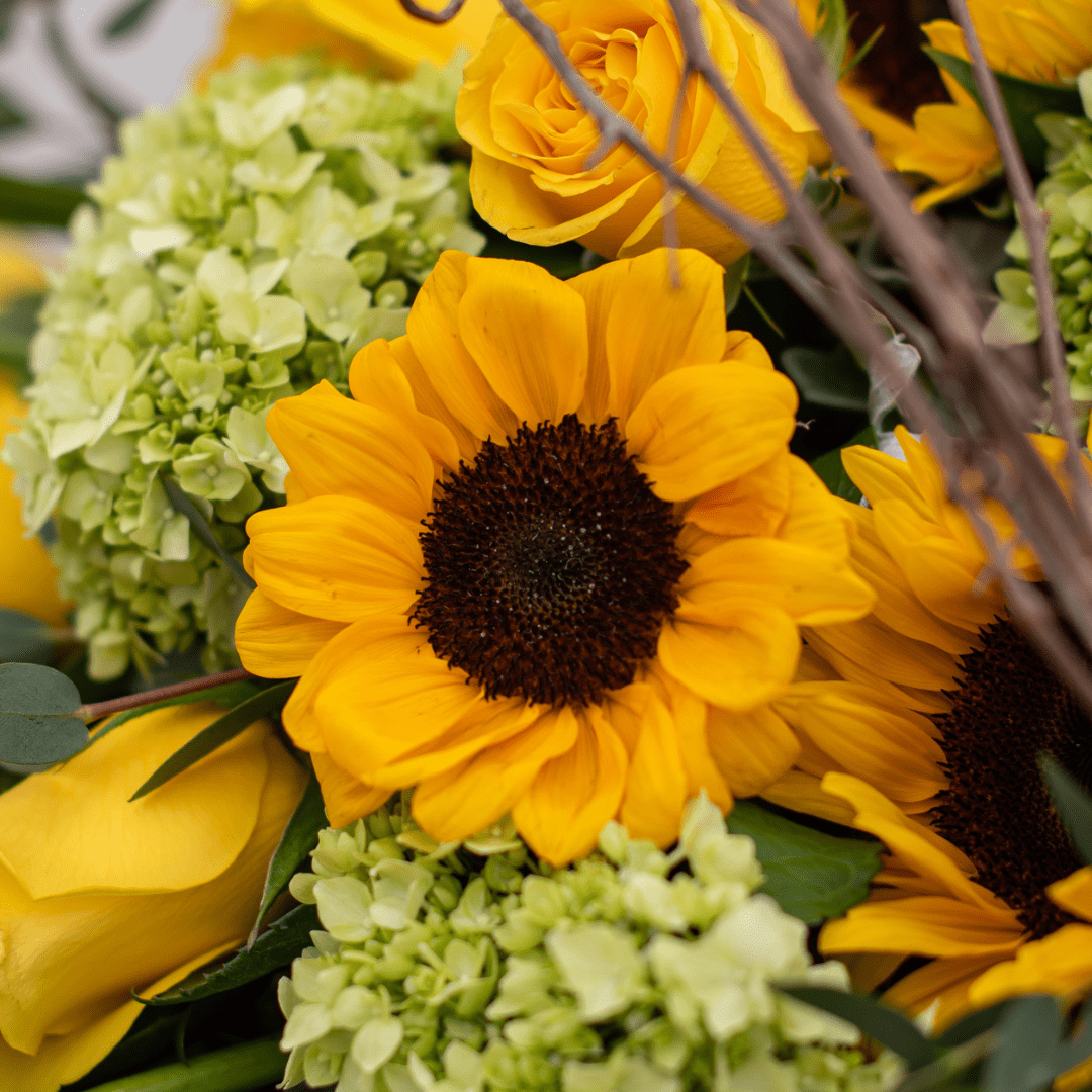 Vibrant bouquet of sunflowers, yellow roses, and green hydrangeas in full bloom.
