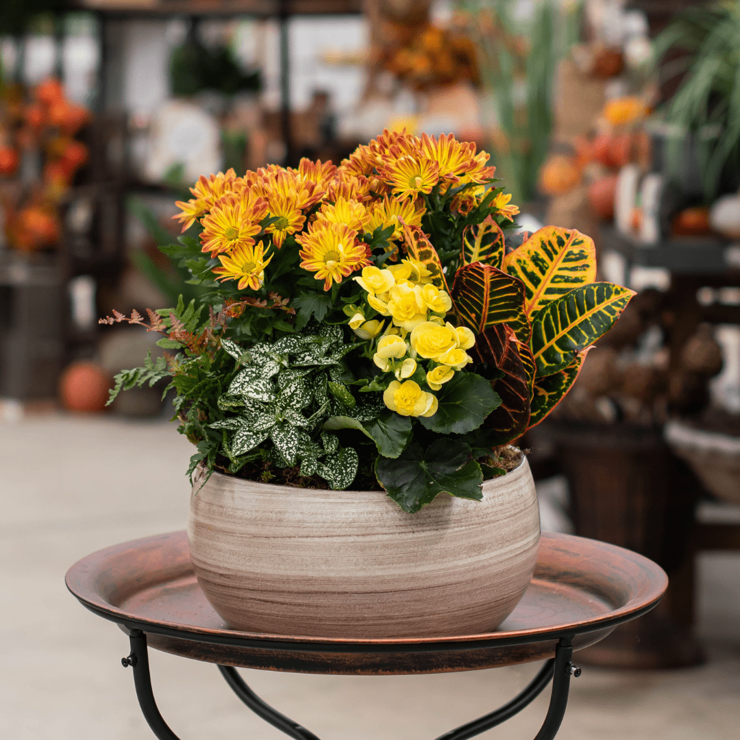 Vibrant fall flowers in a decorative ceramic pot on a metal stand, with blurred background.