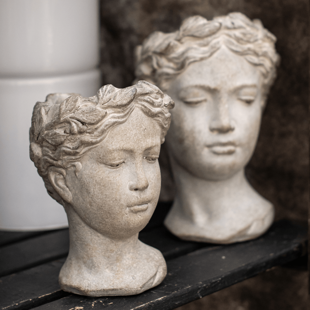 Stone bust planters with serene expressions on a shelf, adding artistic decor to any garden or interior space.