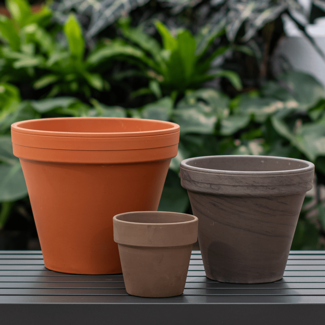 Three different-sized terracotta plant pots on a table with lush green foliage in the background.
