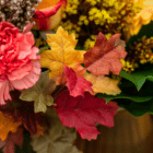 Colorful autumn leaves and flowers in close-up, highlighting vibrant reds, yellows, and greens for a fall theme.