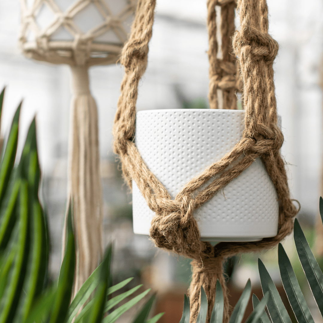 White ceramic pot in macramé hanger surrounded by lush green foliage. Cozy, boho plant decor.