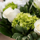 White roses and green hydrangeas in a lush bouquet with variegated foliage.