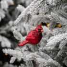 Red cardinal ornament on snow-covered branches, enhancing festive Christmas decor with a touch of nature.