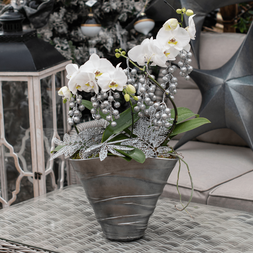 Elegant white orchids in a metal vase with silver decor, placed on a textured table for a stylish home setting.