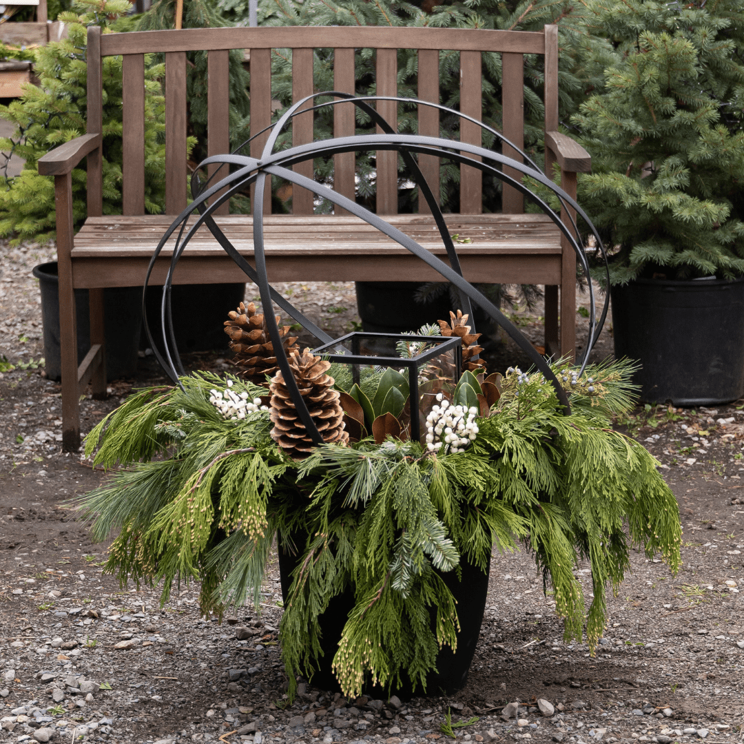 Outdoor bench with evergreen arrangement, pine cones, and iron globe decoration, set among potted trees on gravel.