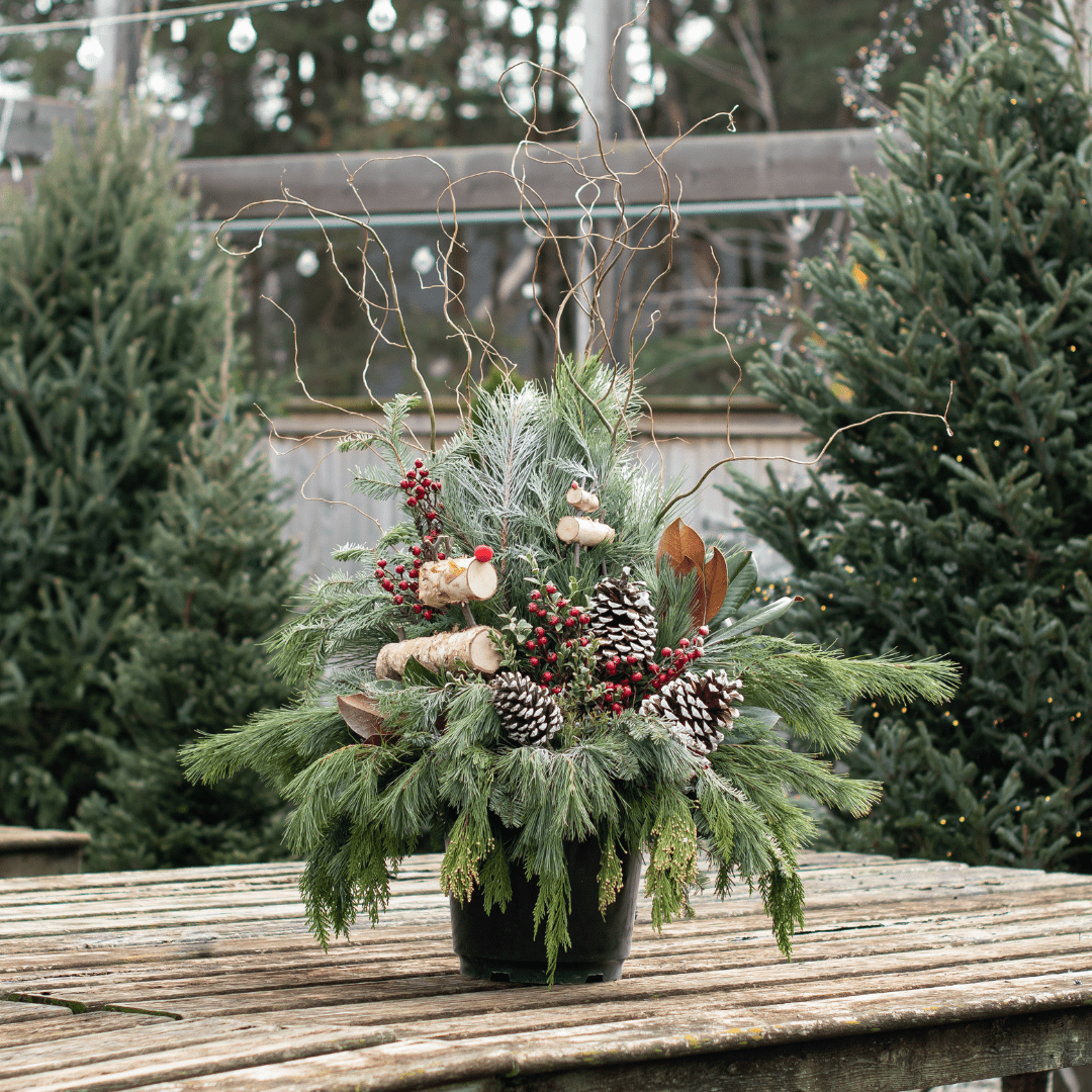 Festive holiday arrangement with pine cones and red berries in a pot on a wooden table outdoors.