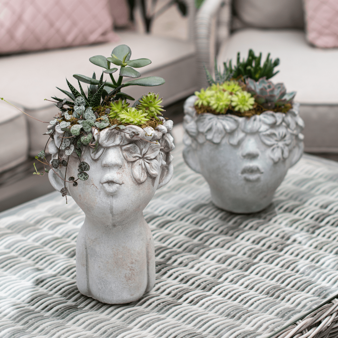 Website Photos - Tropicals - Part 11 (1) Decorative face planters with succulents on wicker table, outdoor patio setting.