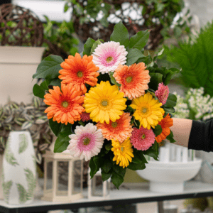 Bouquets