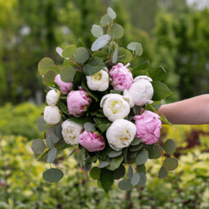 Bouquet of the Month
