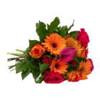 Vibrant bouquet of orange gerberas, pink calla lilies, and red roses with lush green leaves on a white background.