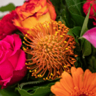 Vibrant bouquet of orange pincushion protea, pink roses, and greenery, showcasing a colorful floral arrangement.