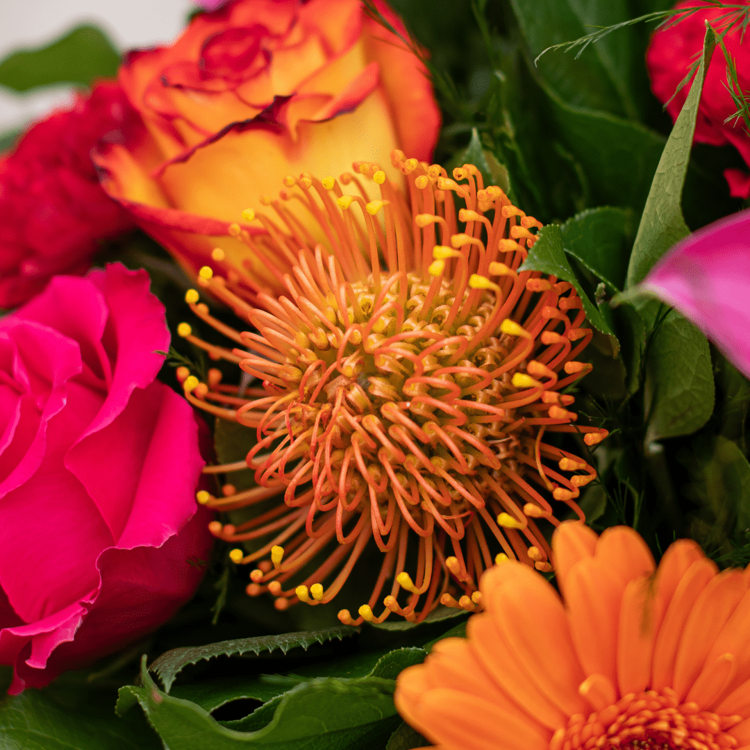 Vibrant bouquet of orange pincushion protea, pink roses, and greenery, showcasing a colorful floral arrangement.