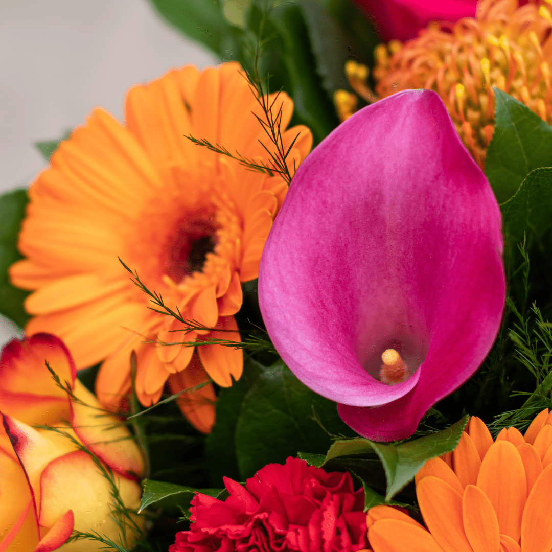 Vibrant bouquet of pink calla lily, orange gerbera daisies, and green leaves, perfect for brightening any room.