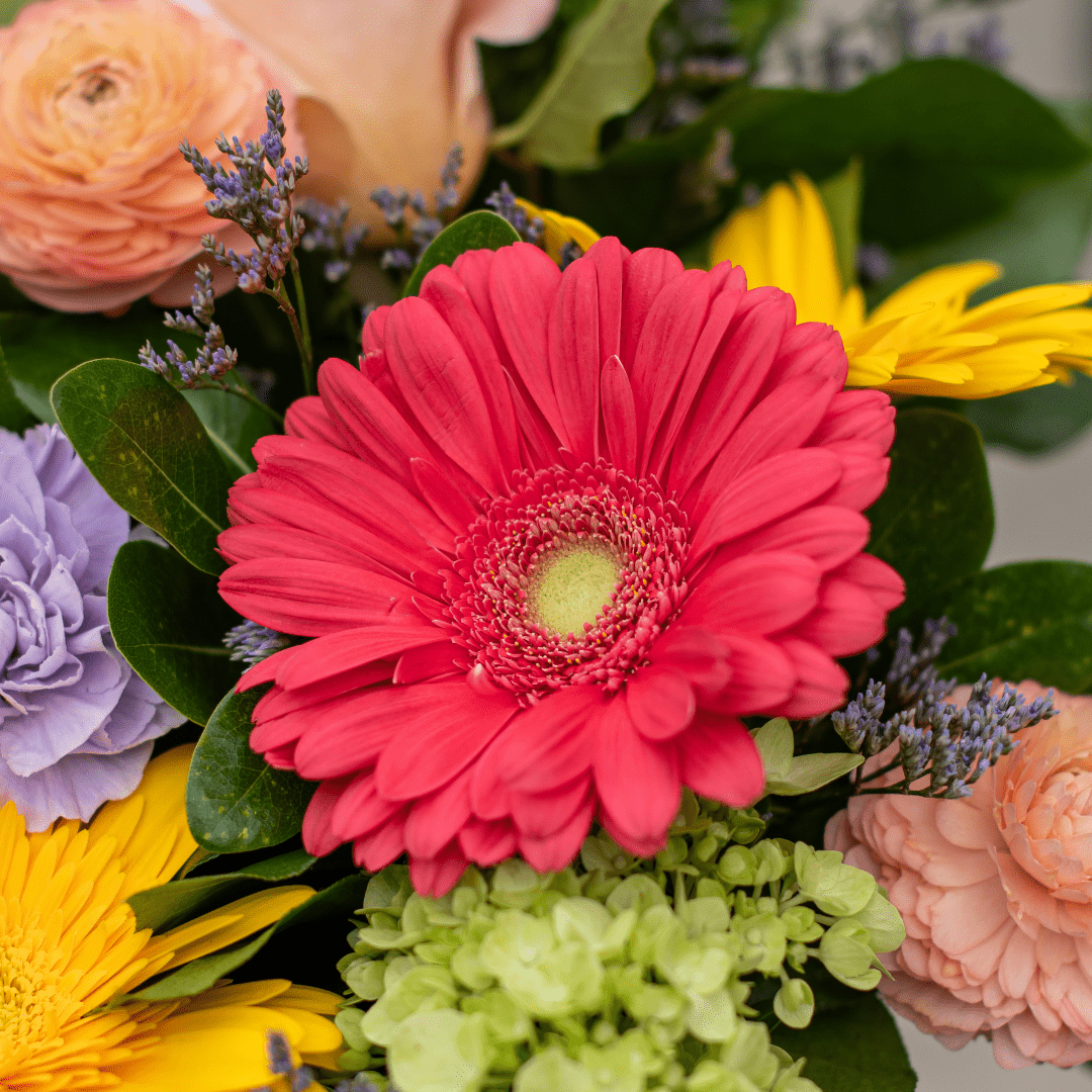 Vibrant floral bouquet with red gerbera, yellow and purple blooms, and fresh green leaves. Ideal for spring decorations.