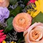 Vibrant bouquet with peach ranunculus, pink roses, purple lisianthus, and yellow daisies among lush green foliage.