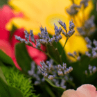 Close-up of vibrant flower bouquet with small purple blooms, yellow petals, and green foliage.