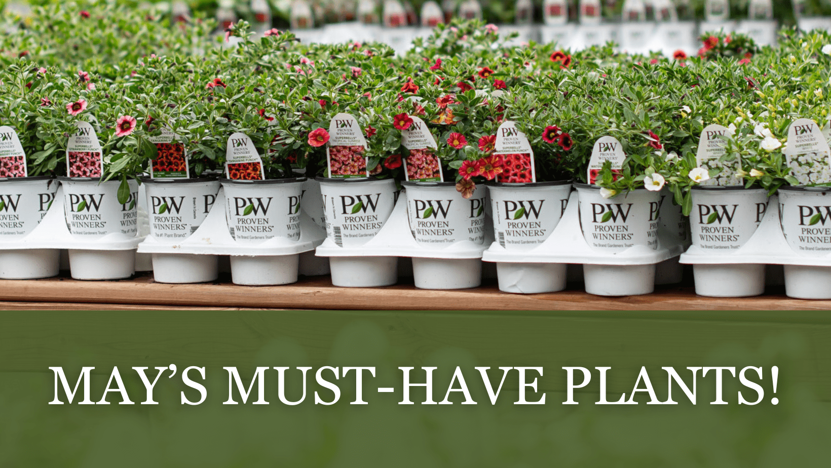 May's Must-Have Plants! – Vermeer
