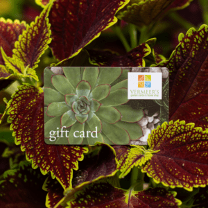 Giftware