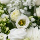 Elegant bouquet of white and cream flowers including roses, lisianthus, and baby's breath, perfect for weddings.