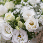 Delicate white roses and buds with greenery in a soft focus floral arrangement. Perfect for weddings and events.