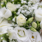 Close-up of white roses and baby's breath flowers in a lush bouquet, showcasing elegance and natural beauty.