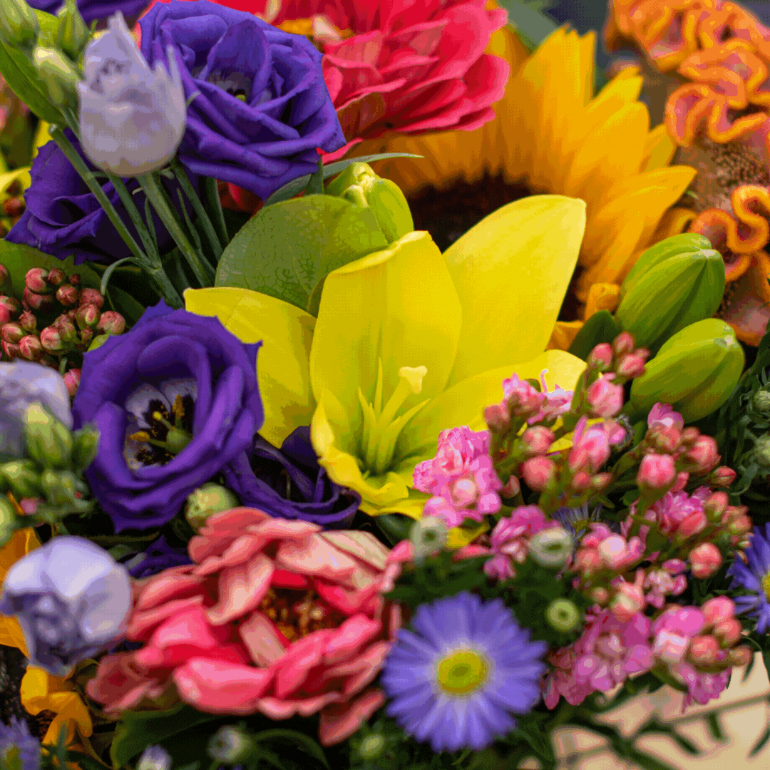 Local Flowers to Adore This August! – Vermeer