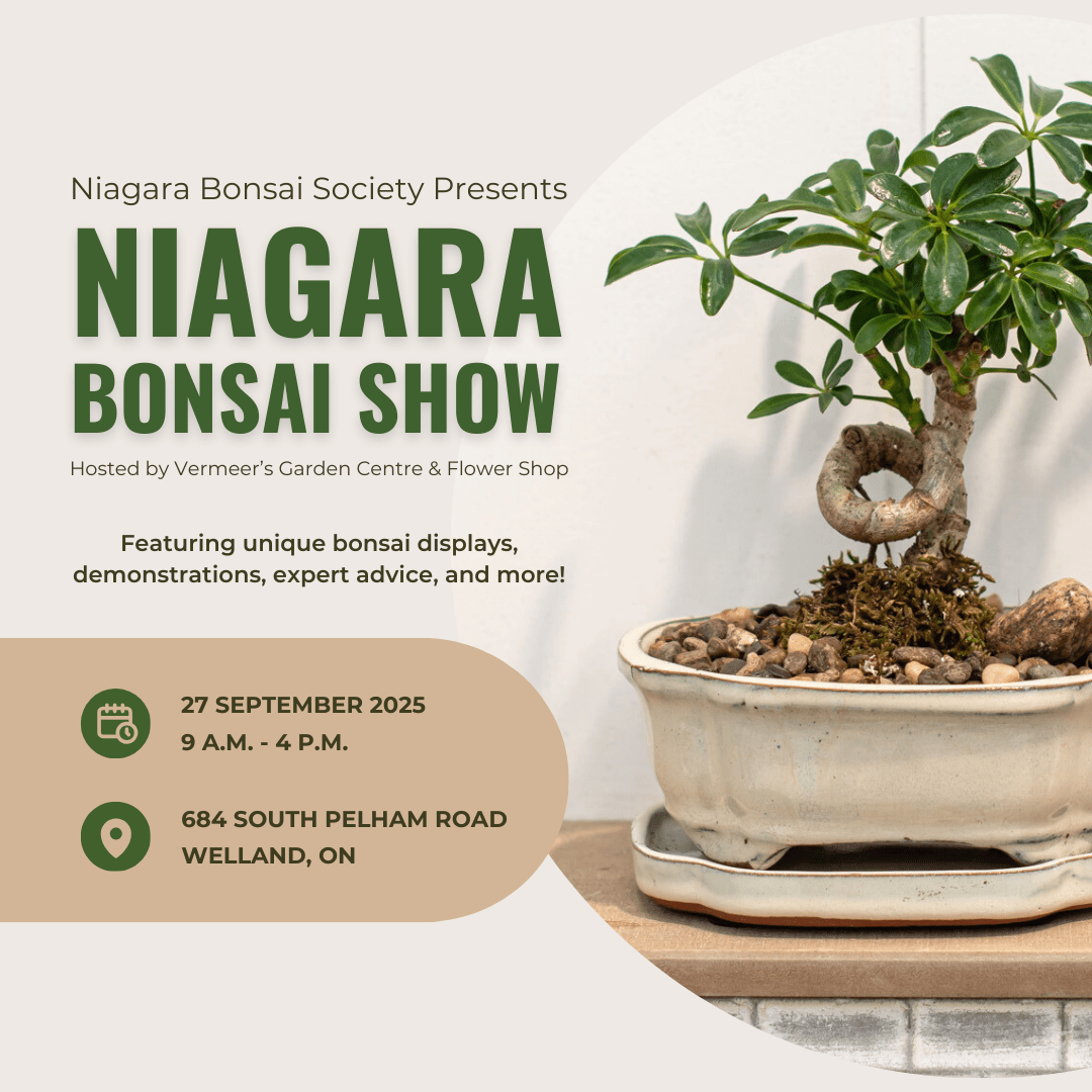 Niagara Bonsai Show in Welland, ON on Sep 27, 2025. Join for displays, demos, and expert bonsai advice. 9 AM - 4 PM.