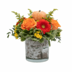 Festive fall floral centerpiece with orange roses, red gerbera, yellow blooms, greenery, and a small decorative pumpkin.