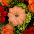 Orange pumpkin surrounded by vibrant flowers, including red gerberas and orange roses, creating a festive arrangement.