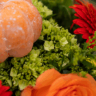 Orange pumpkin and vibrant flowers in a colorful autumn arrangement. Perfect fall decor inspiration.