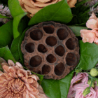 Dried lotus seed pod surrounded by pink and peach flowers with green leaves, creating a natural floral arrangement.