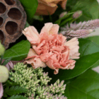 Peach carnation in a floral arrangement with green leaves, seed pod, and feathery grass for natural elegance.