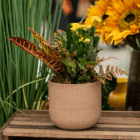 Colorful plant arrangement in a textured pot with green, yellow, and red leaves, displayed on a wooden table.