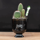 Cactus in black pot with spooky text and a miniature zombie hand, on a wooden surface against a dark background.