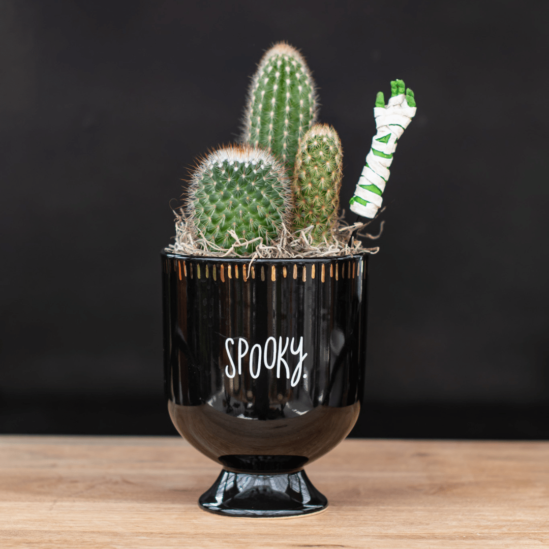 Cactus in black pot with spooky text and a miniature zombie hand, on a wooden surface against a dark background.
