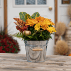 Autumn flowers in a metal bucket on a wooden table, featuring orange blooms and a small decorative pumpkin.