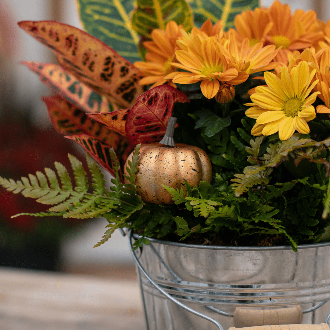Autumn floral arrangement with orange daisies, colorful leaves, and a mini gold pumpkin in a metal bucket.