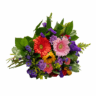 Vibrant bouquet of colorful flowers with green leaves, featuring gerberas and carnations, on a white background.