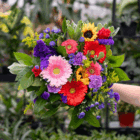 Vibrant bouquet with mixed flowers including sunflowers, gerberas, and roses, held in a lush garden setting.