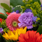Vibrant bouquet of colorful flowers including purple, pink, yellow, and red blossoms with green foliage.