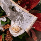 White rose with birch bark and fall foliage creates a rustic bouquet. Perfect for autumn celebrations.