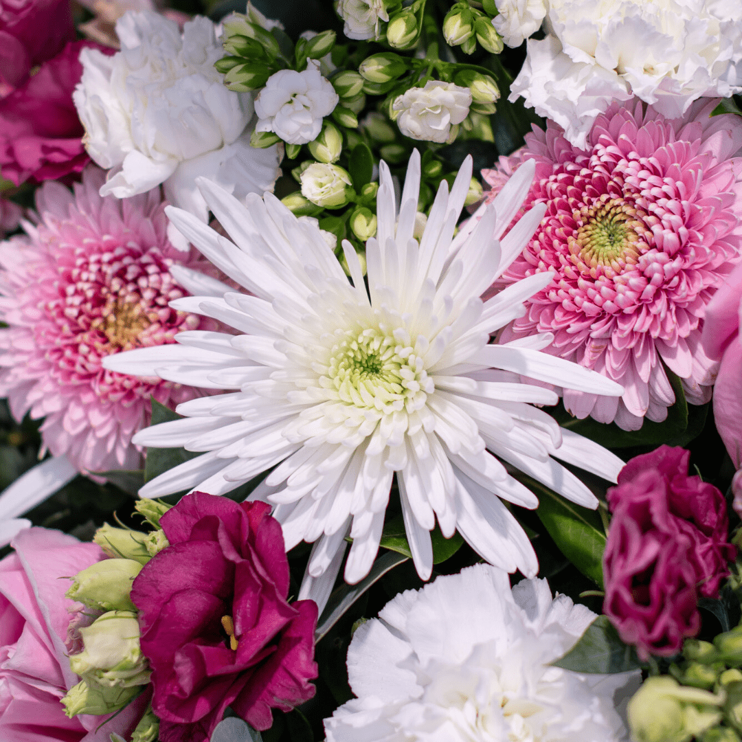 Close-up of vibrant flower bouquet featuring white chrysanthemums, pink gerberas, and assorted colorful blooms.