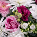 Beautiful floral arrangement with pink roses, white daisies, and vibrant purple flowers, showcasing nature's colors.