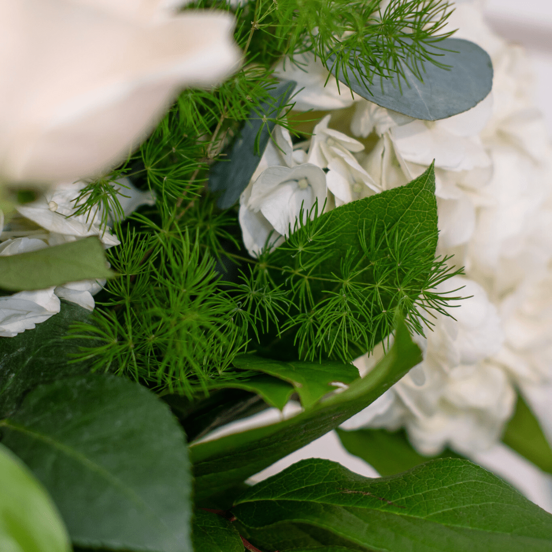 Close-up of lush green leaves with delicate white flowers, creating a fresh and natural floral arrangement.